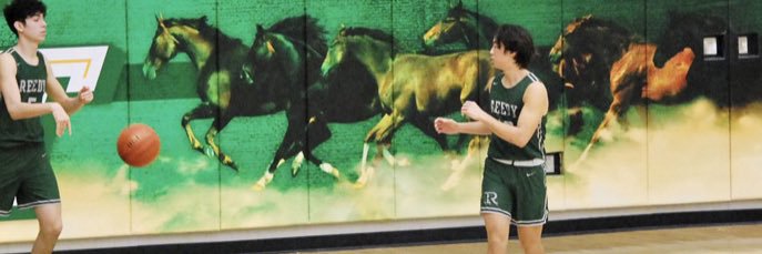 nolyn lee banner