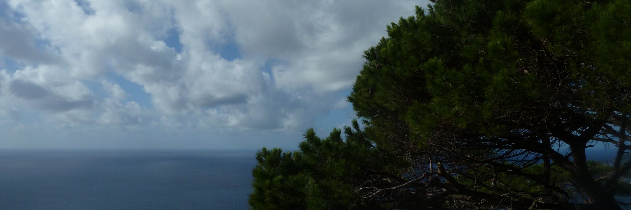 pedro_c_'s profile banner image