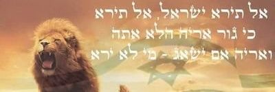 simizk22's profile banner image