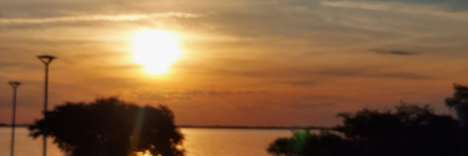 Bender - Alle Dinge banner