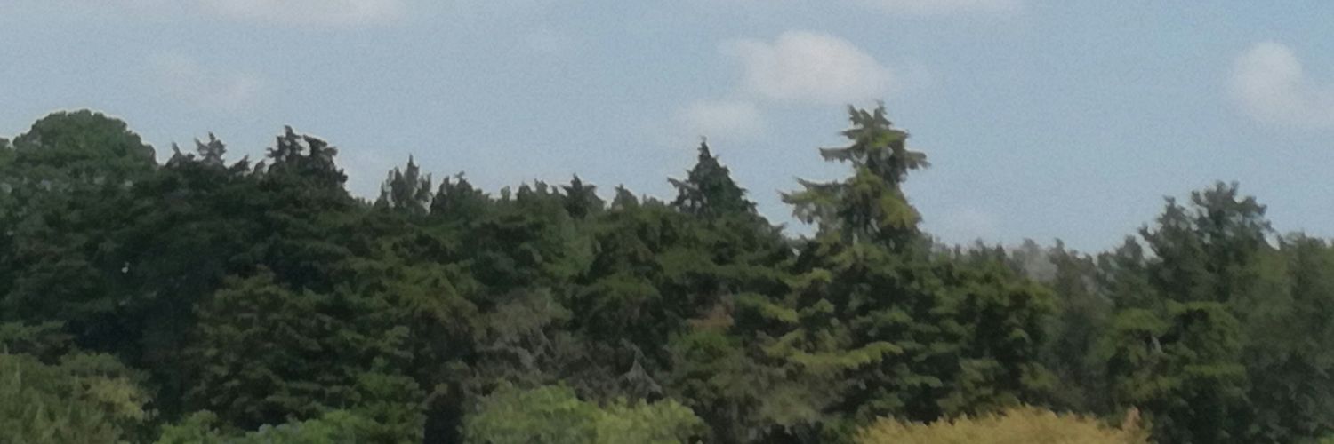 Darling Hermosilla banner