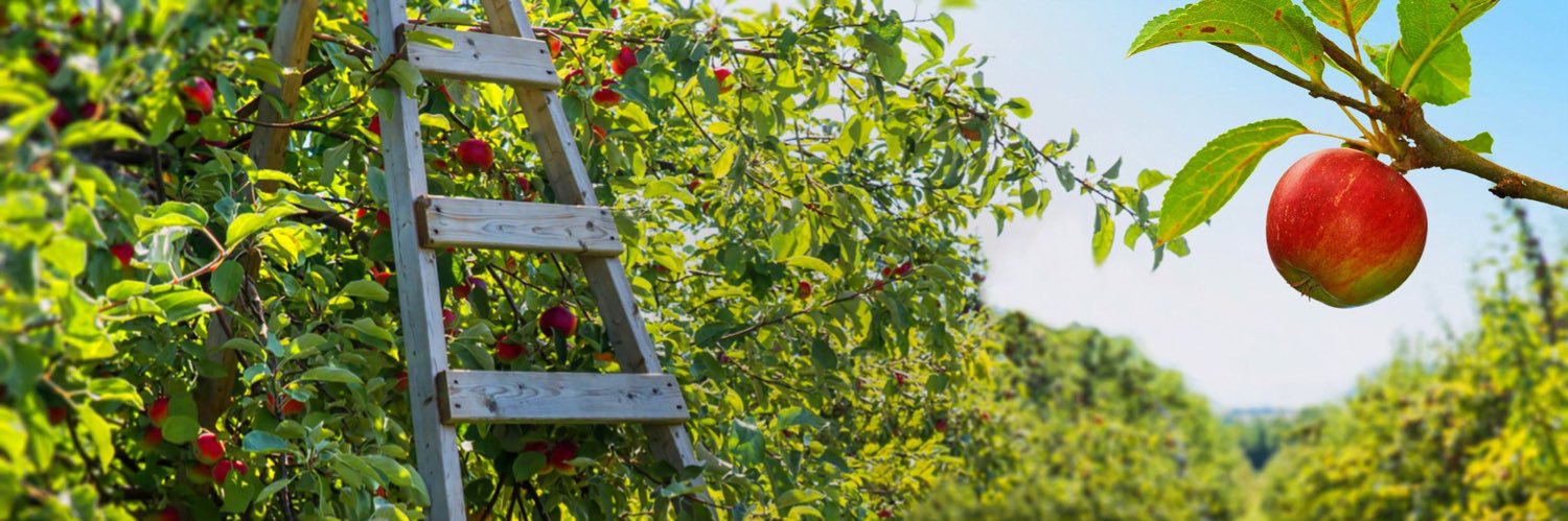 applehill's profile banner image