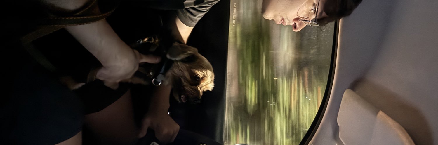 lleallaurall's profile banner image
