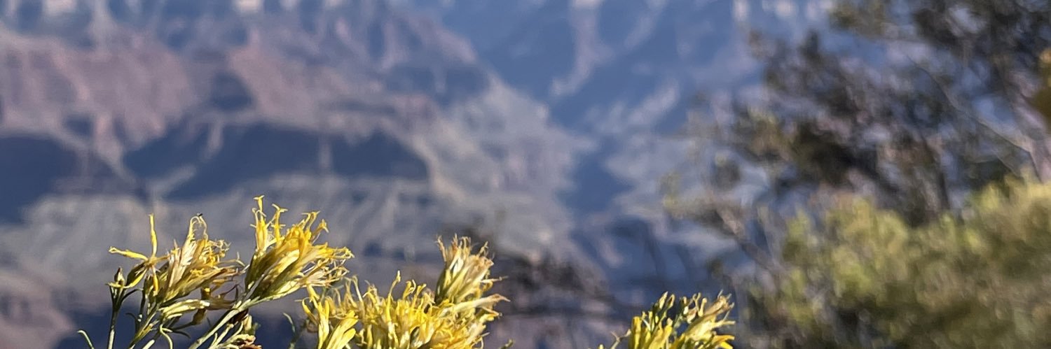 tas8237's profile banner image