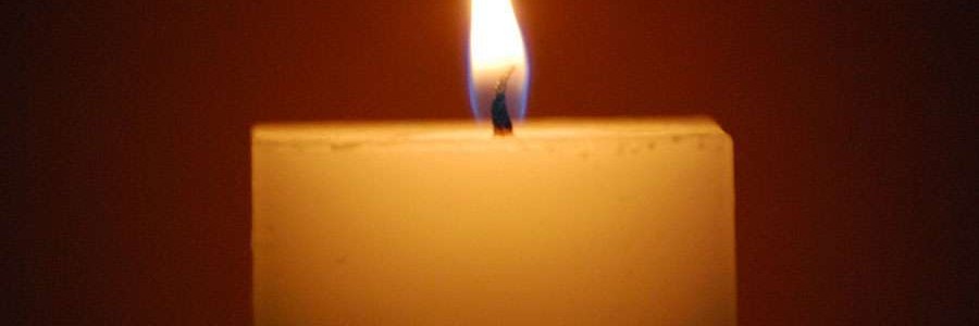 Temas y Personajes banner