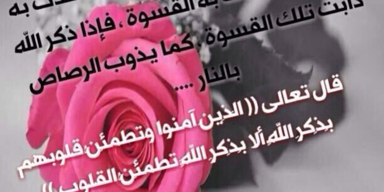 ALWasmQ205's profile banner image