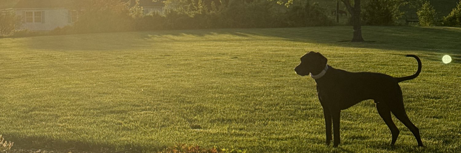 jsgiba's profile banner image