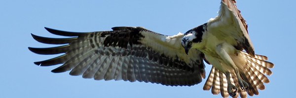 mathewsjh Profile Banner