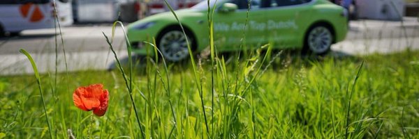 Holthausen Profile Banner