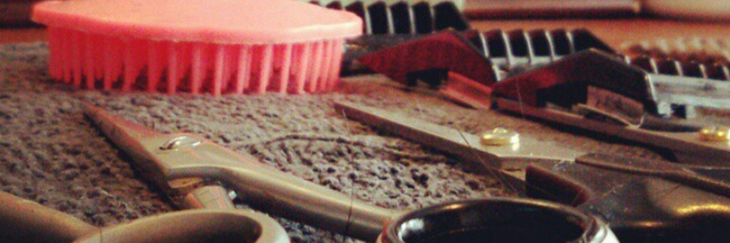 dkapster's profile banner image