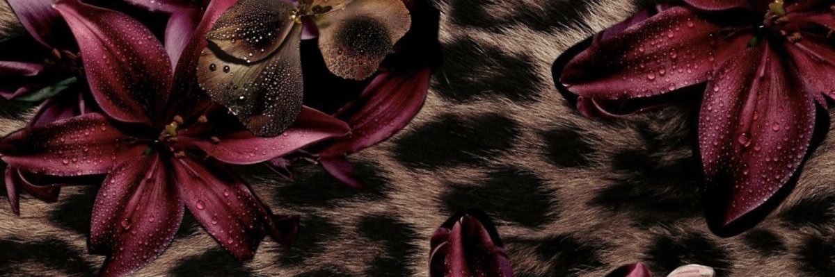 wbrrlr's profile banner image