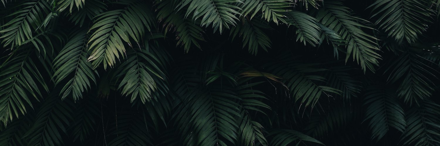 igortonney's profile banner image