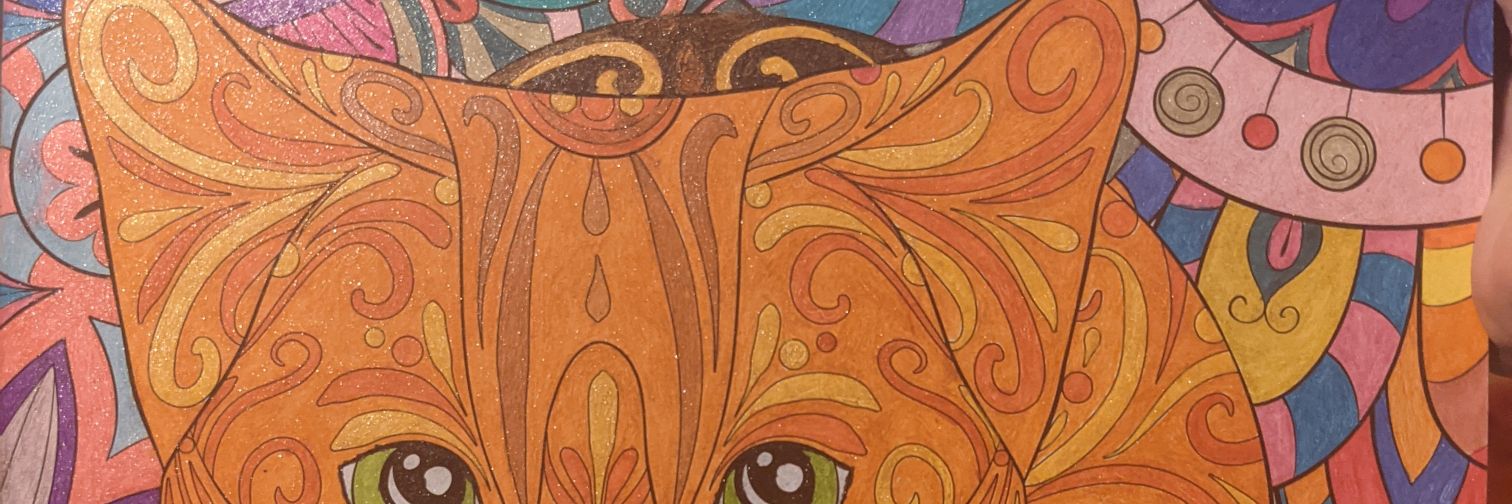 devinmychal's profile banner image