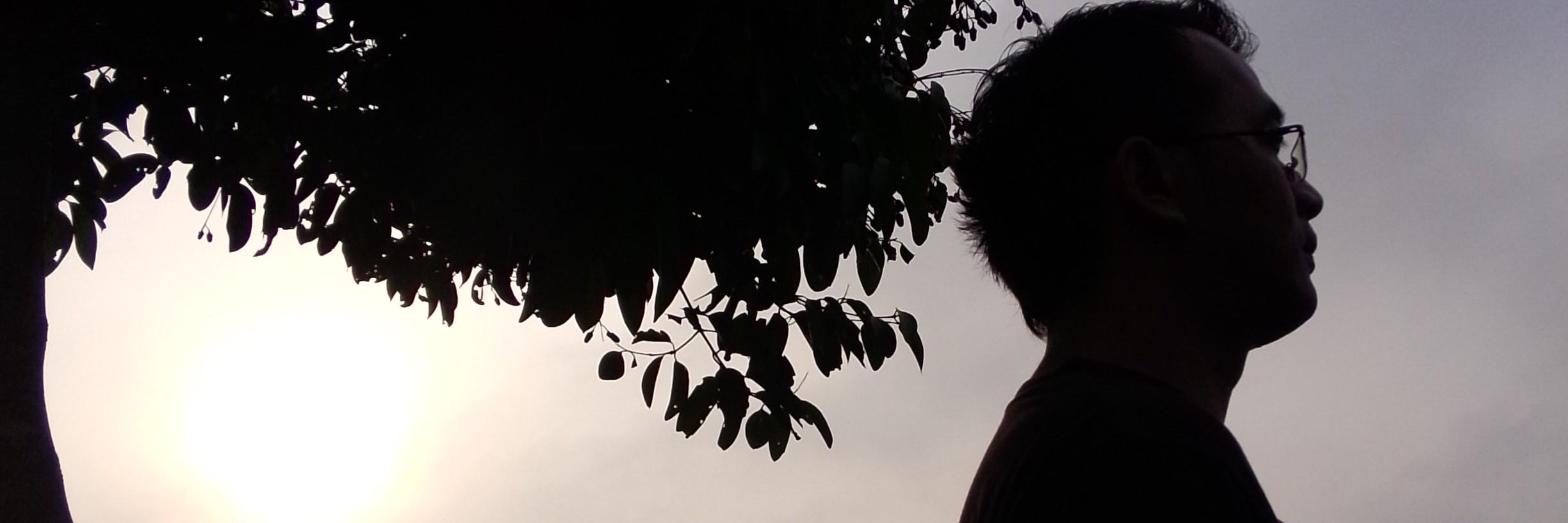 ho2k's profile banner image