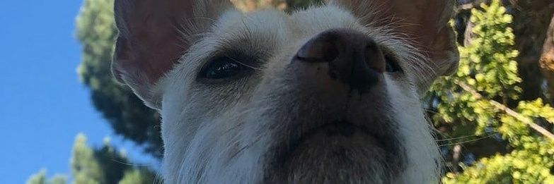 Efsie's profile banner image