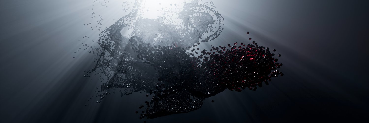 Sina Bozorgvar banner