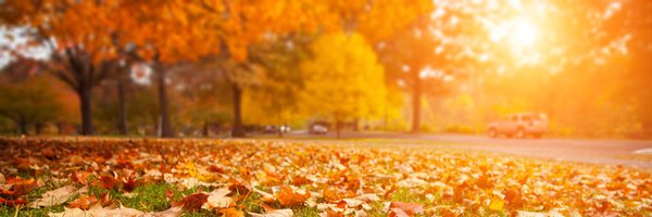 ErinRJordan Profile Banner