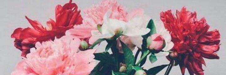 cik_eisha's profile banner image