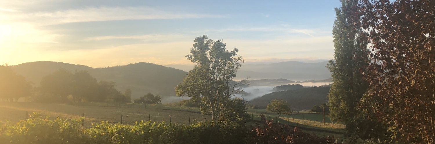 vicnl's profile banner image