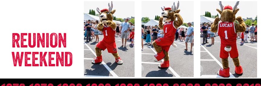 Fairfield Alumni banner