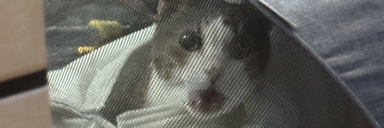 hide_Roomba's profile banner image