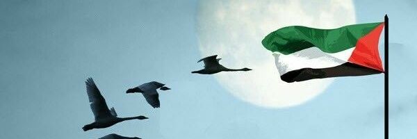 josem0213's profile banner image