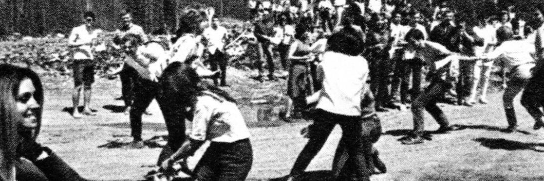 Miriam Felton-Dansky banner