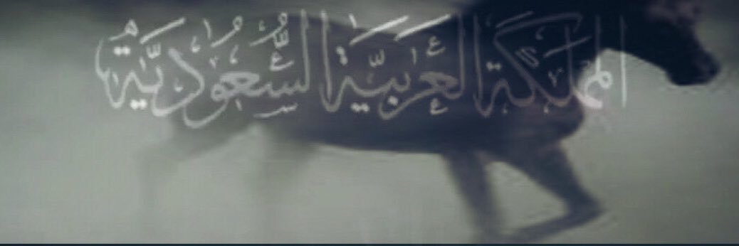 SHADIAALOFI's profile banner image