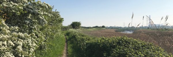 Michael Archer Profile Banner