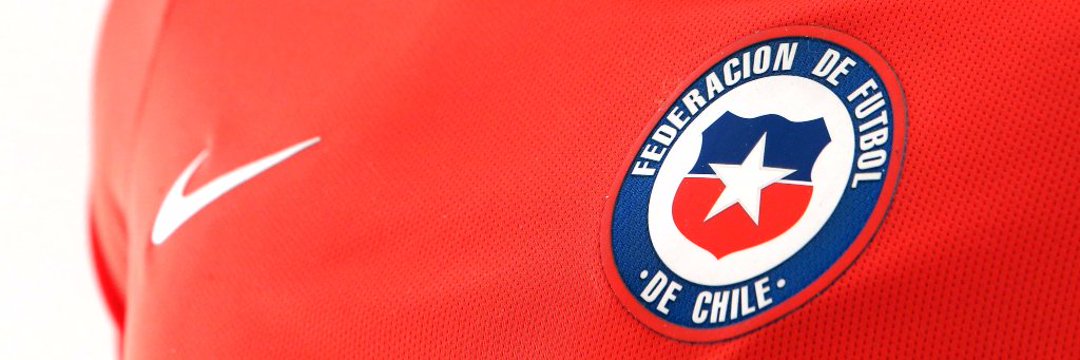 Pablo Del Canto banner