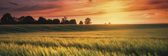 Black Storm Beer banner