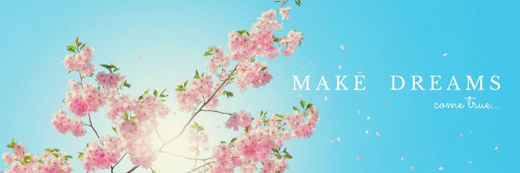 missinspector's profile banner image