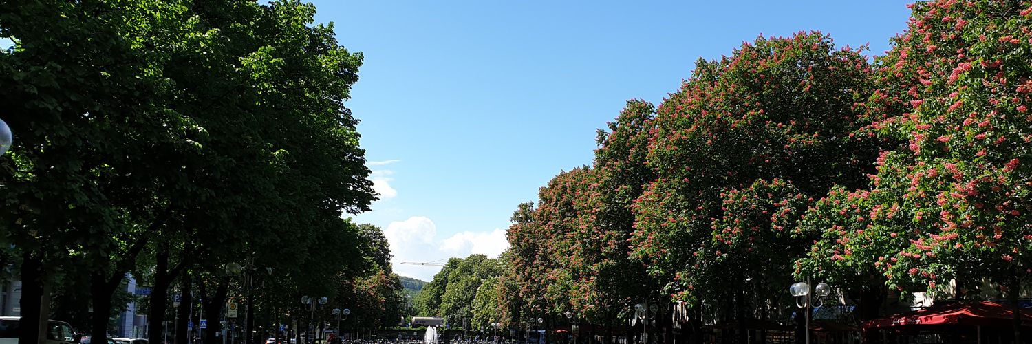 KoquePinal's profile banner image