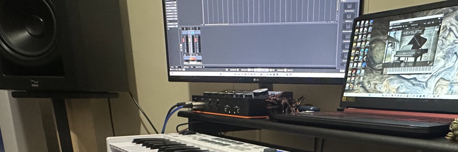 hpluske's profile banner image