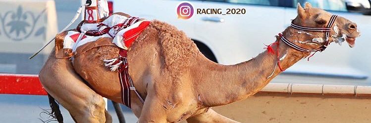 حمد بن حويل المري banner