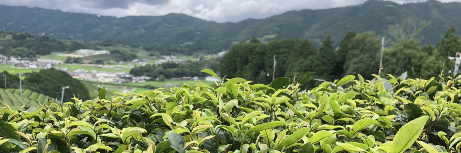 Laura Kauppinen 🍃 banner