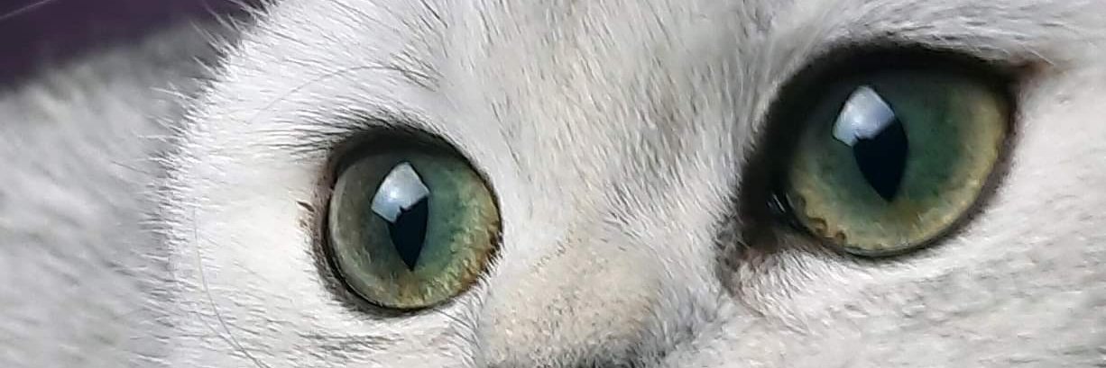 Pb_Works's profile banner image