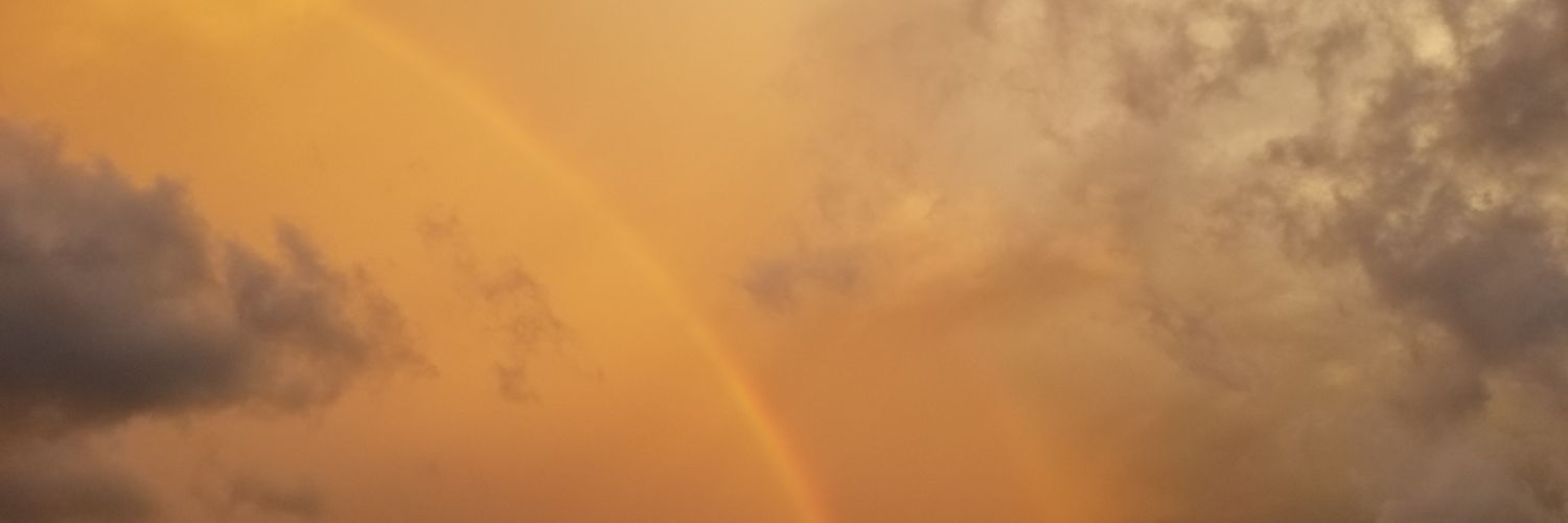lcham20's profile banner image