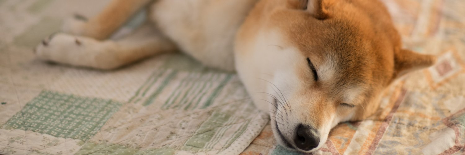 DearRippler's profile banner image