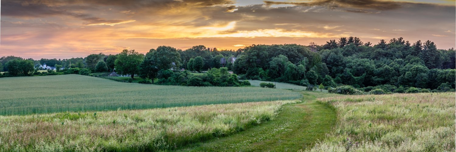 Laurence Constable banner