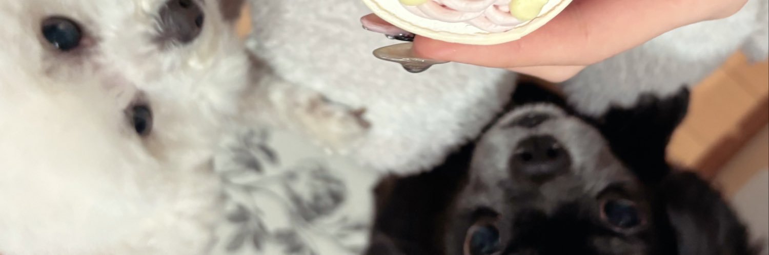 姫乃もえか BUNGEE GUM.4/20 白金高輪SELENEワンマン banner