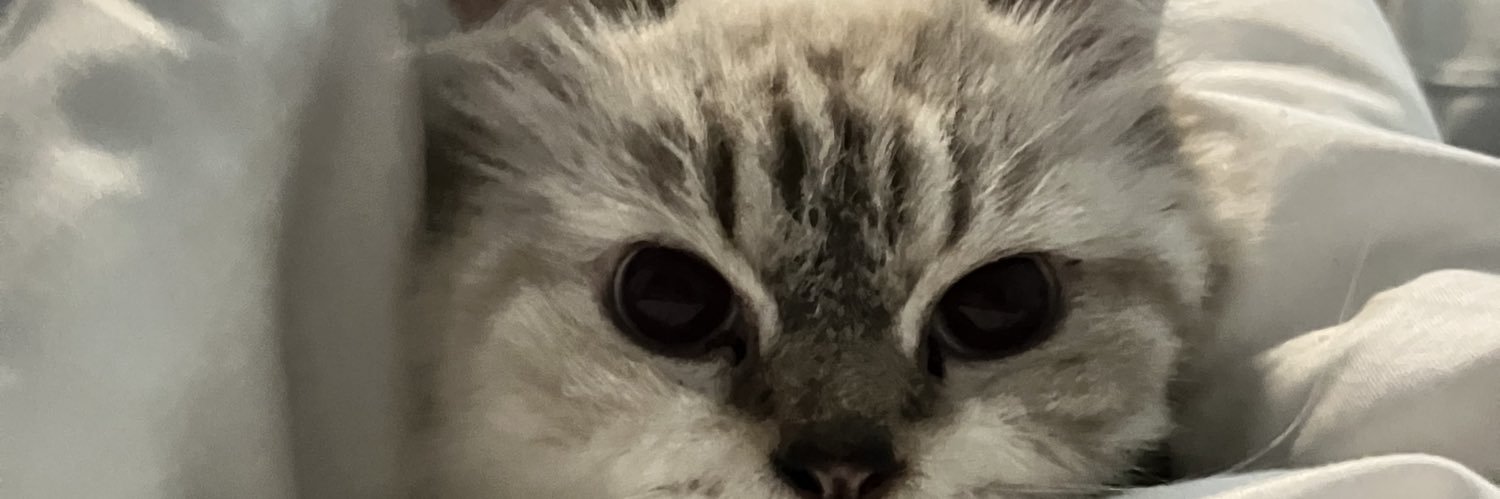itsfrne's profile banner image
