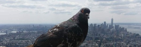 MGLWorld_Kev Profile Banner