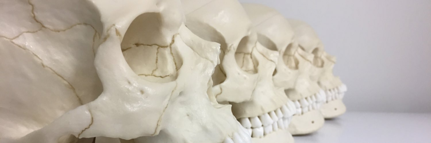 Skull Base Lab's banner
