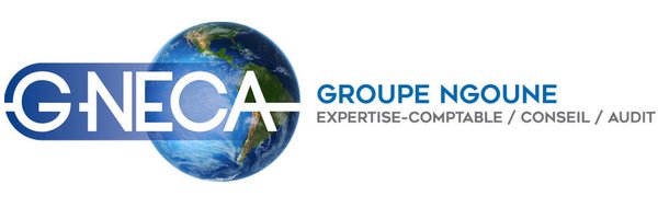 GROUPE_NGOUNE Profile Banner