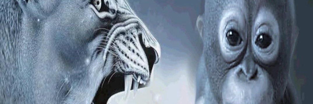 drvkviewss's profile banner image