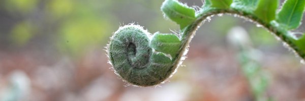 Nature_VA Profile Banner