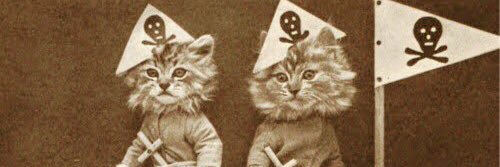 ImpudentCat's profile banner image