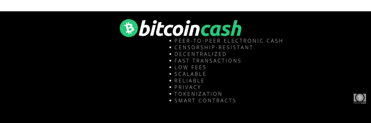 BitcoinBCHNews's profile banner image