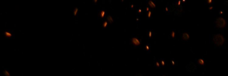 Nico⚓️ banner